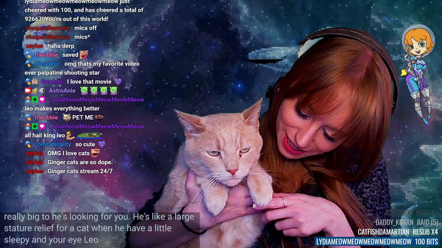 Cat's cuteness overwhelms Streamer