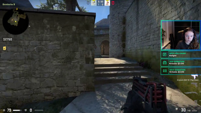 Silver CS:GO gameplay