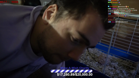 Just as Mizkif is about to end his charity stream $3,000 shy of his goal, and oil prince saves the day.