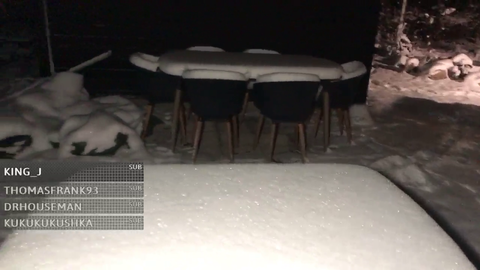 Cute wild fox struggles to climb a table in the snow!