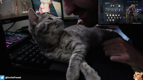 Paint me like one of your French kittens