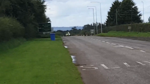 When they spot sliker in Ireland