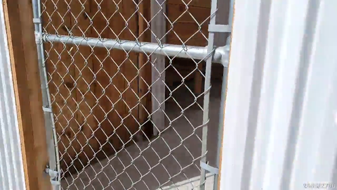 Maya shows enclosure she raised money to build