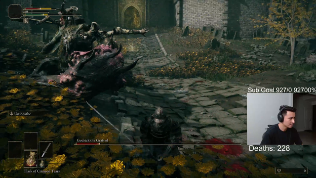 Pikaboo finally masters Godrik the Grafted