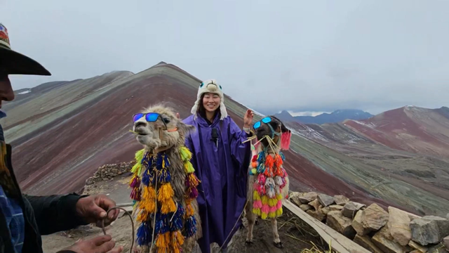 swag alpacas on the Rainbow mountain