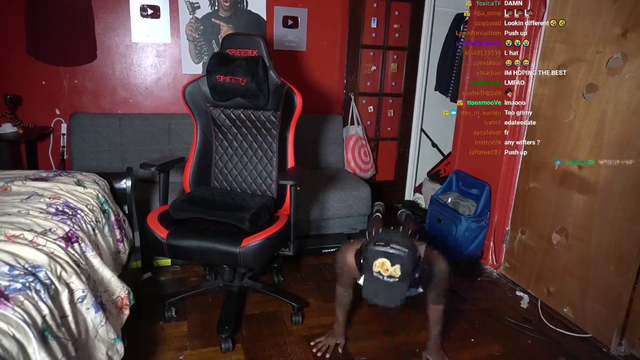 Mouse caught on streamers door.